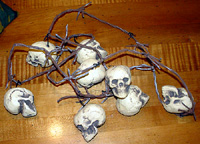 Skulls