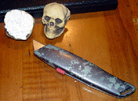 Skull