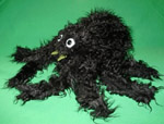 Terry Tarantula