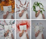 The Power of Books